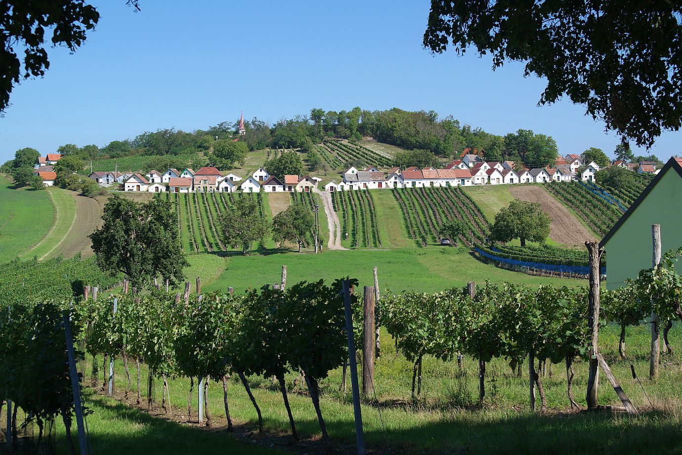 Kellergasse Galgenberg