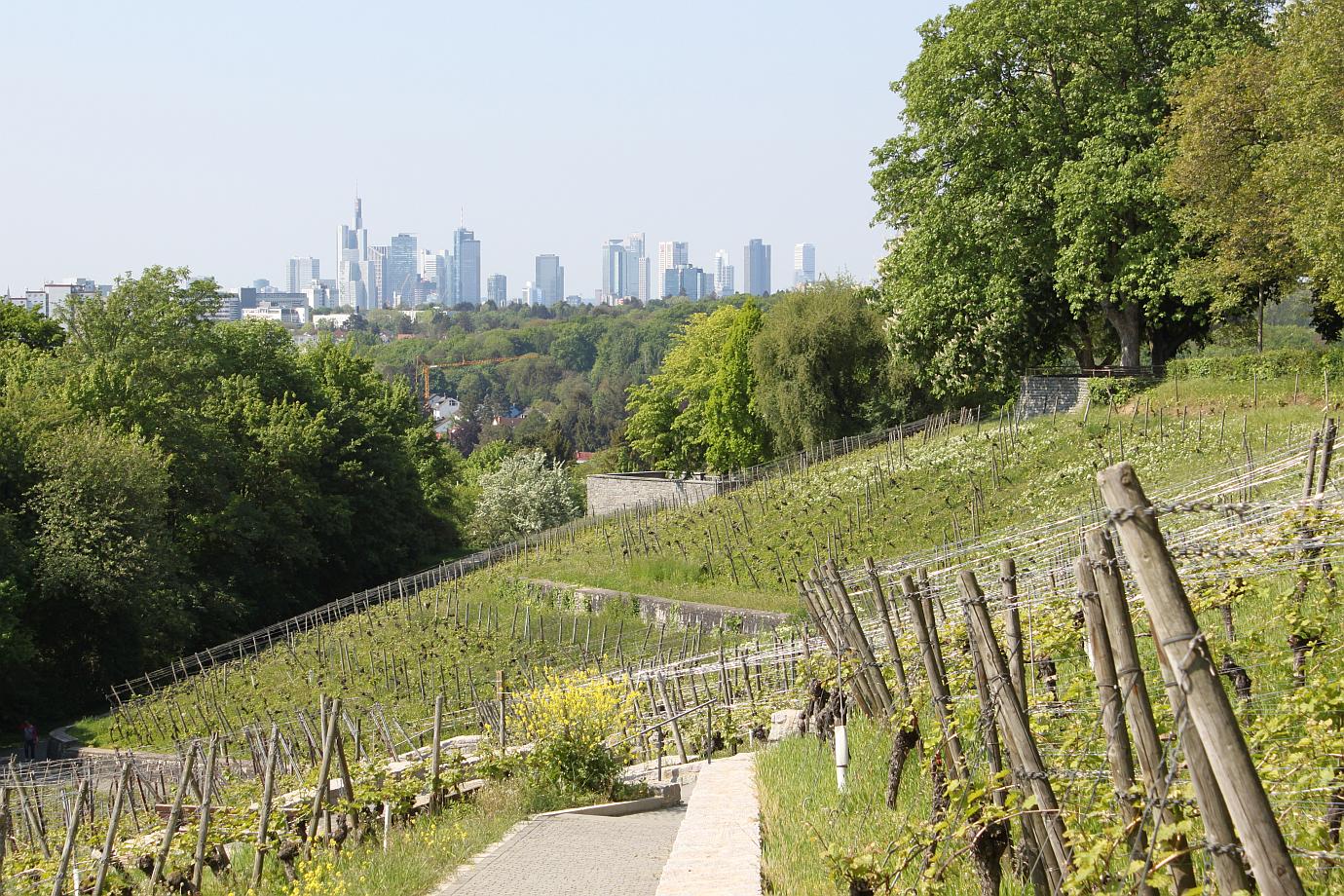 Lohrberg | Frankfurt