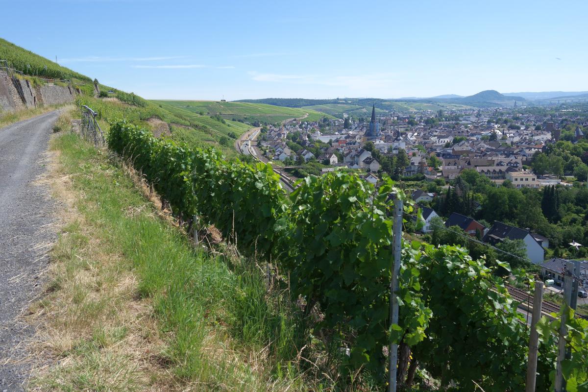 Rotweinwanderweg Ahrtal