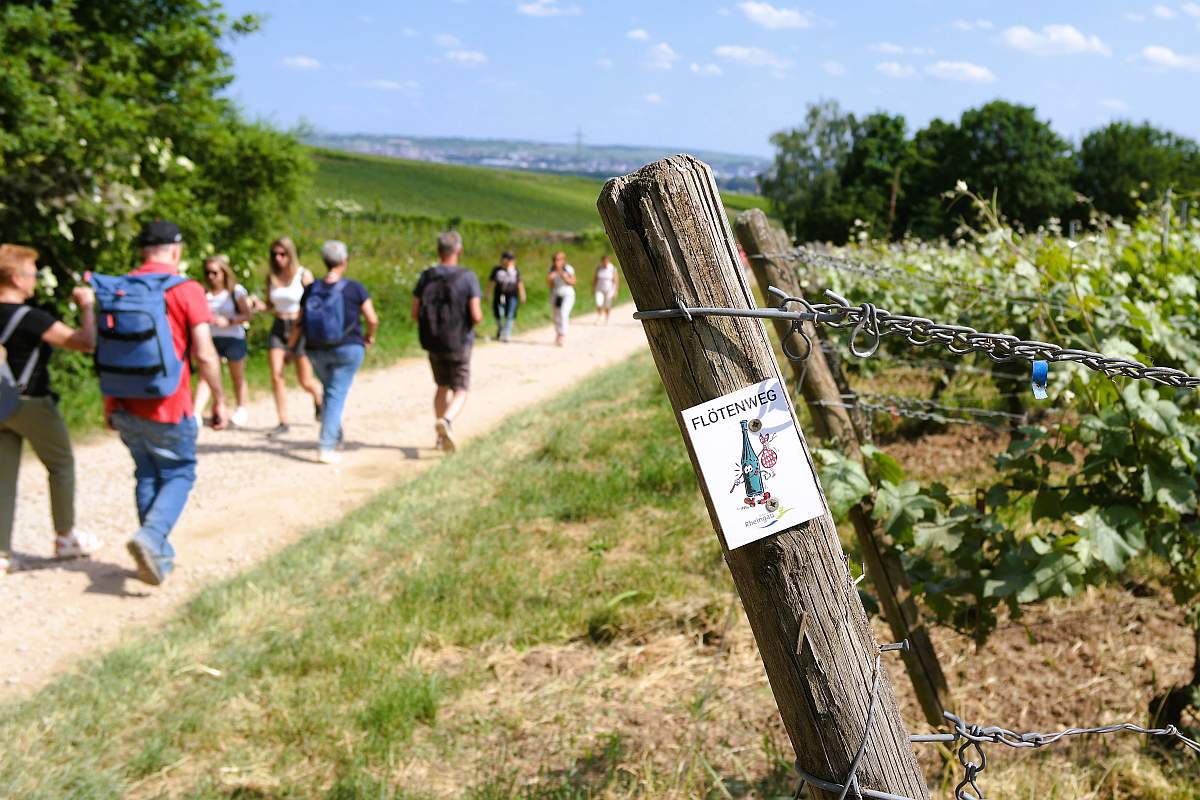 Flötenweg Wandererlebnis Rheingau