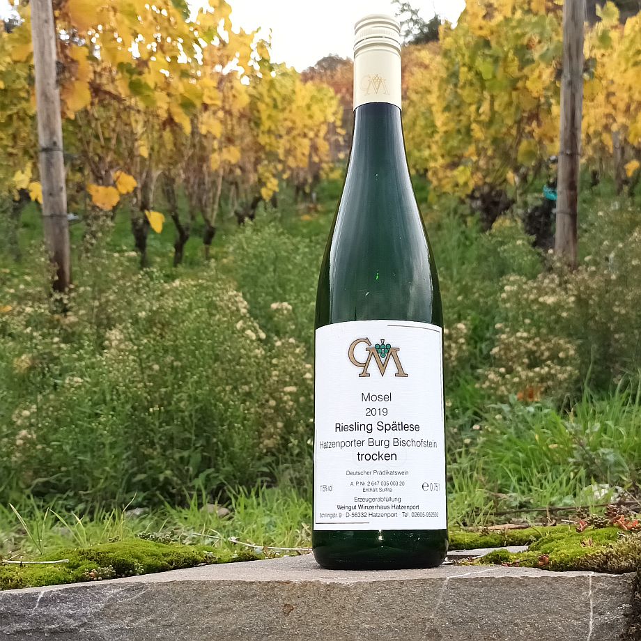 Hatzenporter Burg Bischofstein – Riesling Spätlese von der Mosel