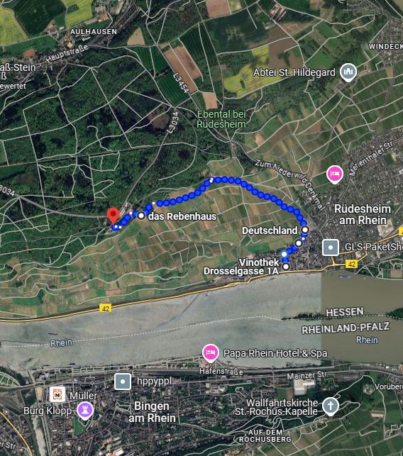 Rüdesheim Wanderroute Maps