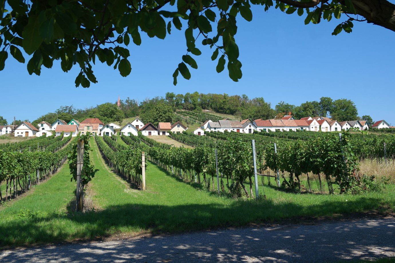 Kellergasse Galgenberg