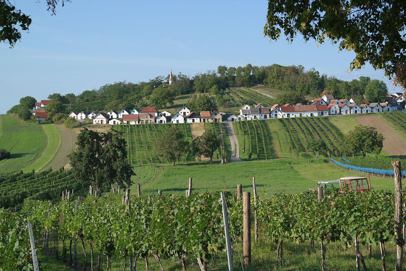 Kellergasse Galgenberg