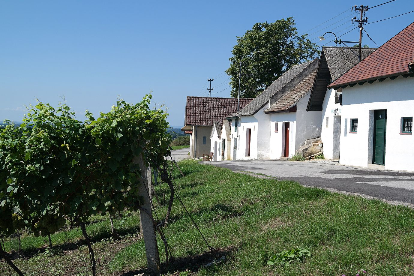 Kellergasse Galgenberg