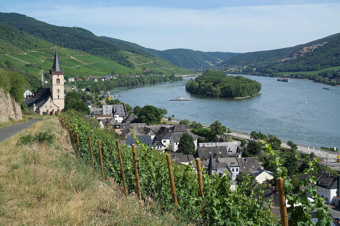 Weinwandern in Lorch