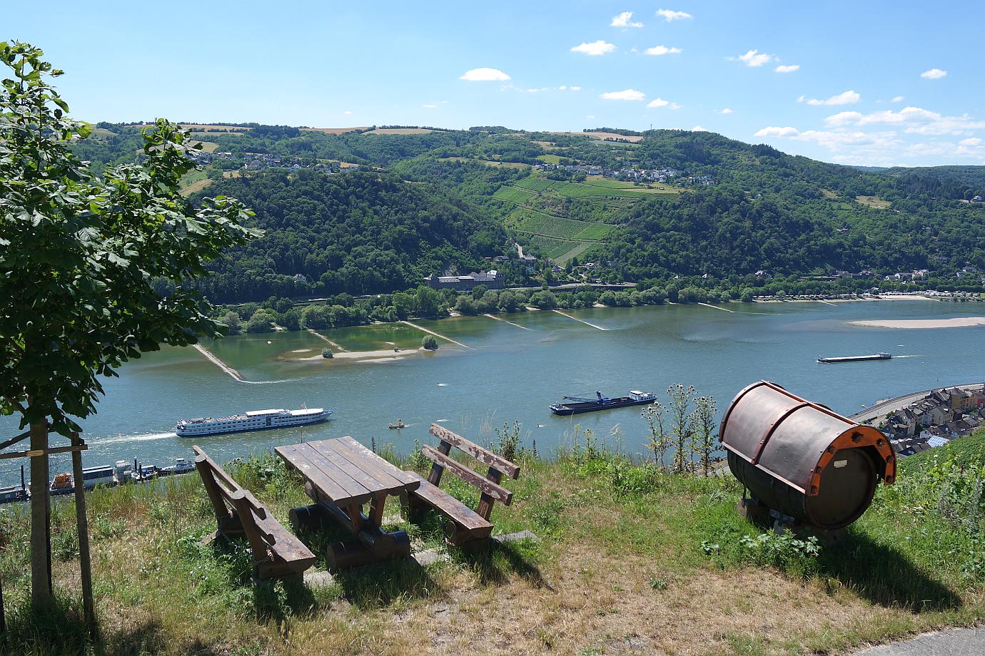 Weinwandern am RheinSteig