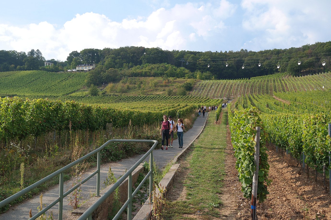 Wanderweg zum Rebenhaus und Niederwaldtempel