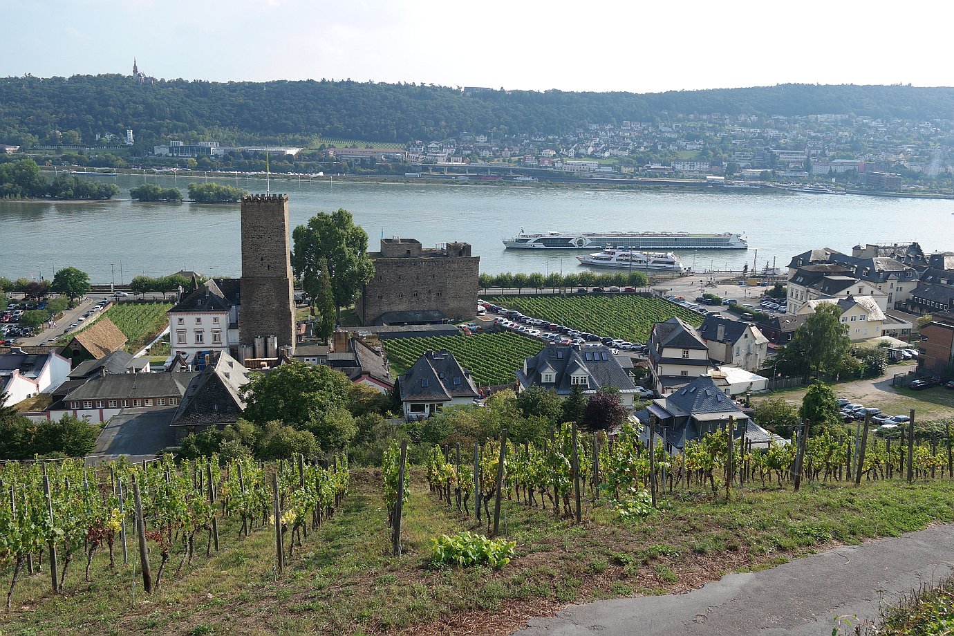 Blick auf den Rhein in Richtung Bingen