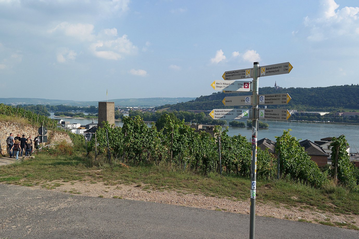 Weinwandern in Rüdesheim