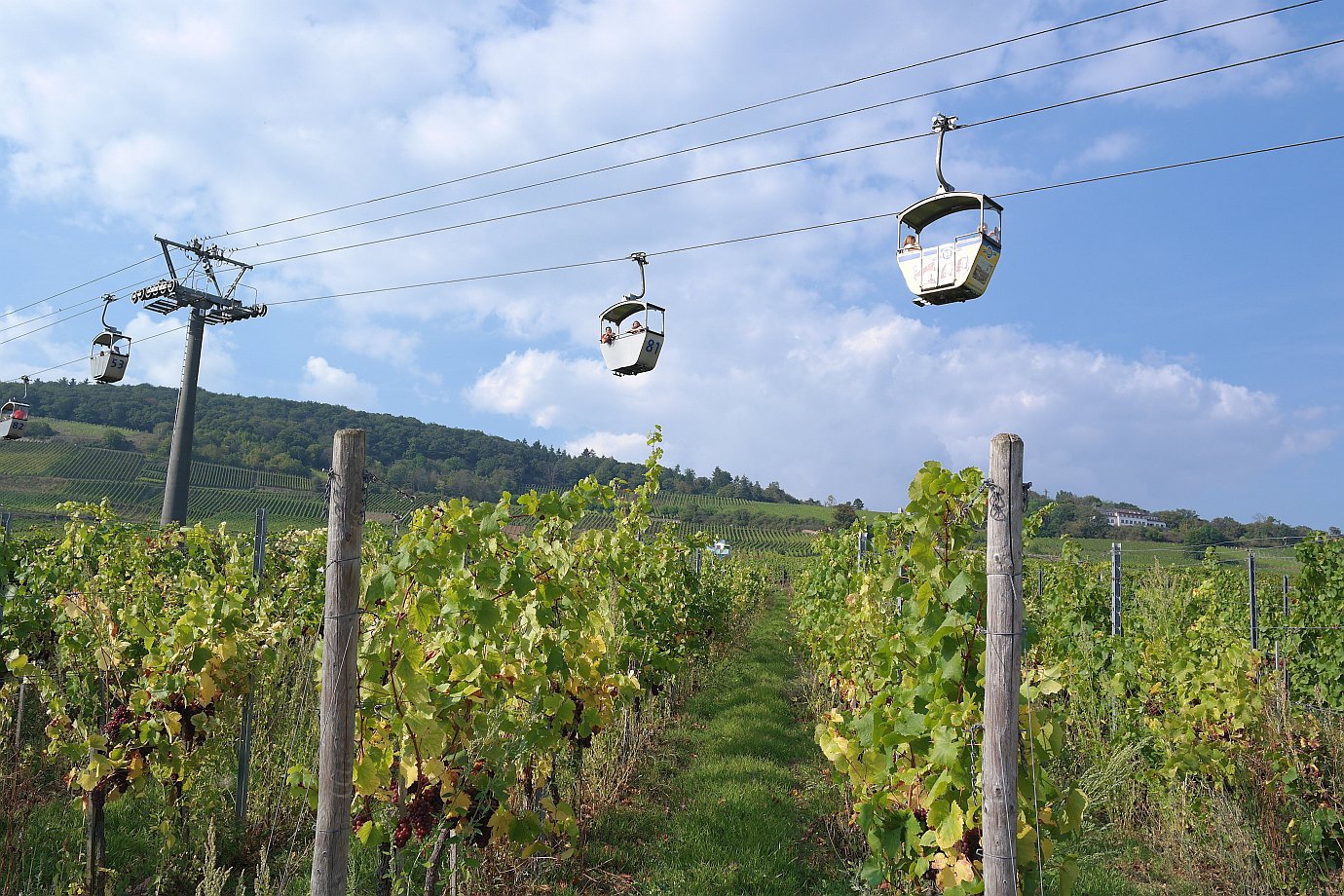 Seilbahn zum Niederwalddenkmal