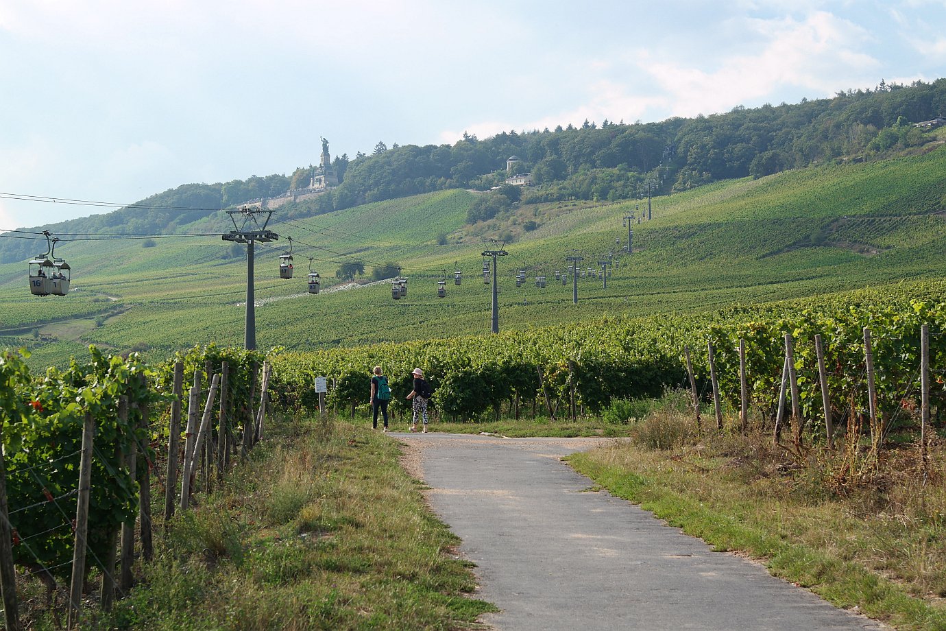 Rüdesheim Seilbahn