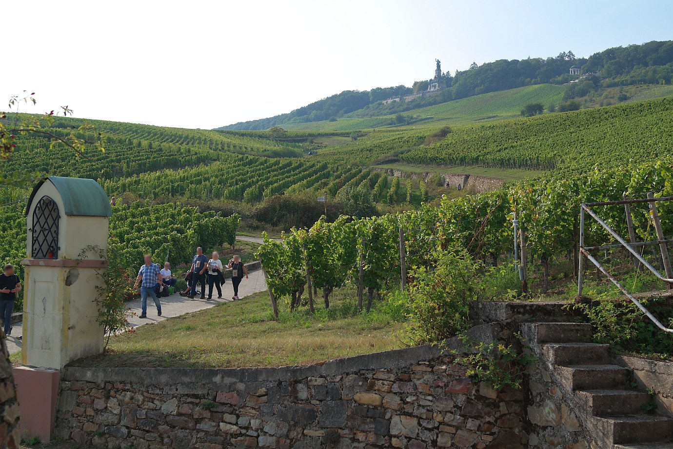 Weinwandern zum Niederwalddenkmal