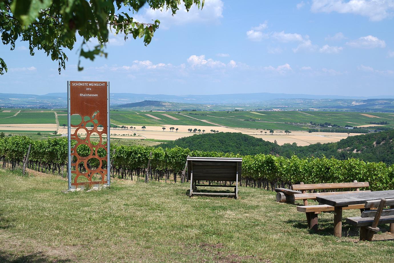 Schönste Weinsicht 2016 Rheinhessen