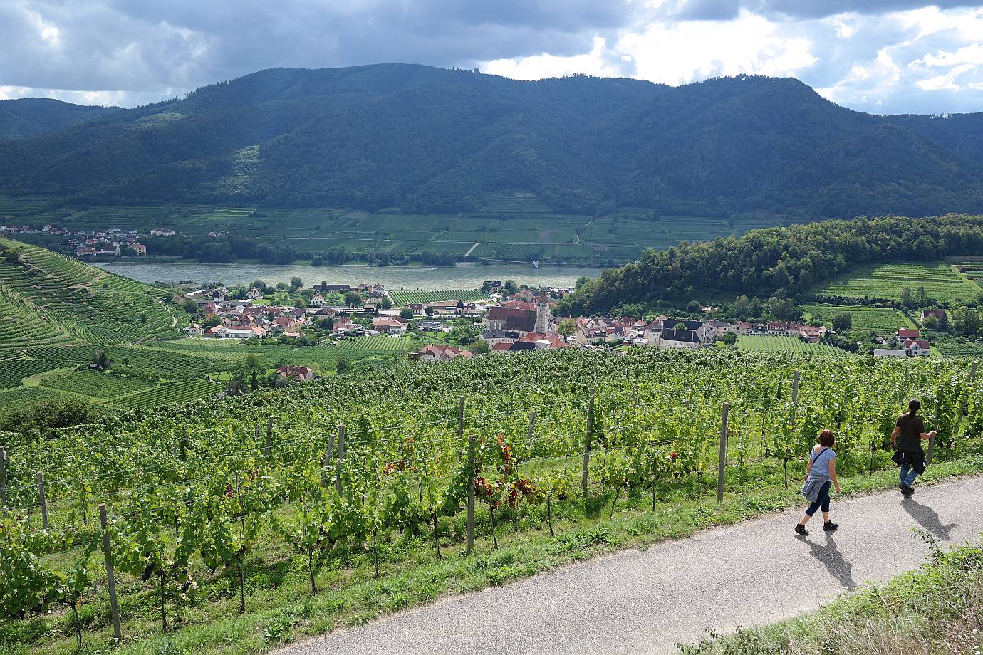 Weinwanderweg Spitz – Wachau, Niederösterreich