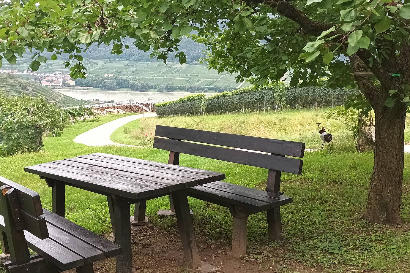 Rastplatz am Weinwanderweg Spitz | Wachau