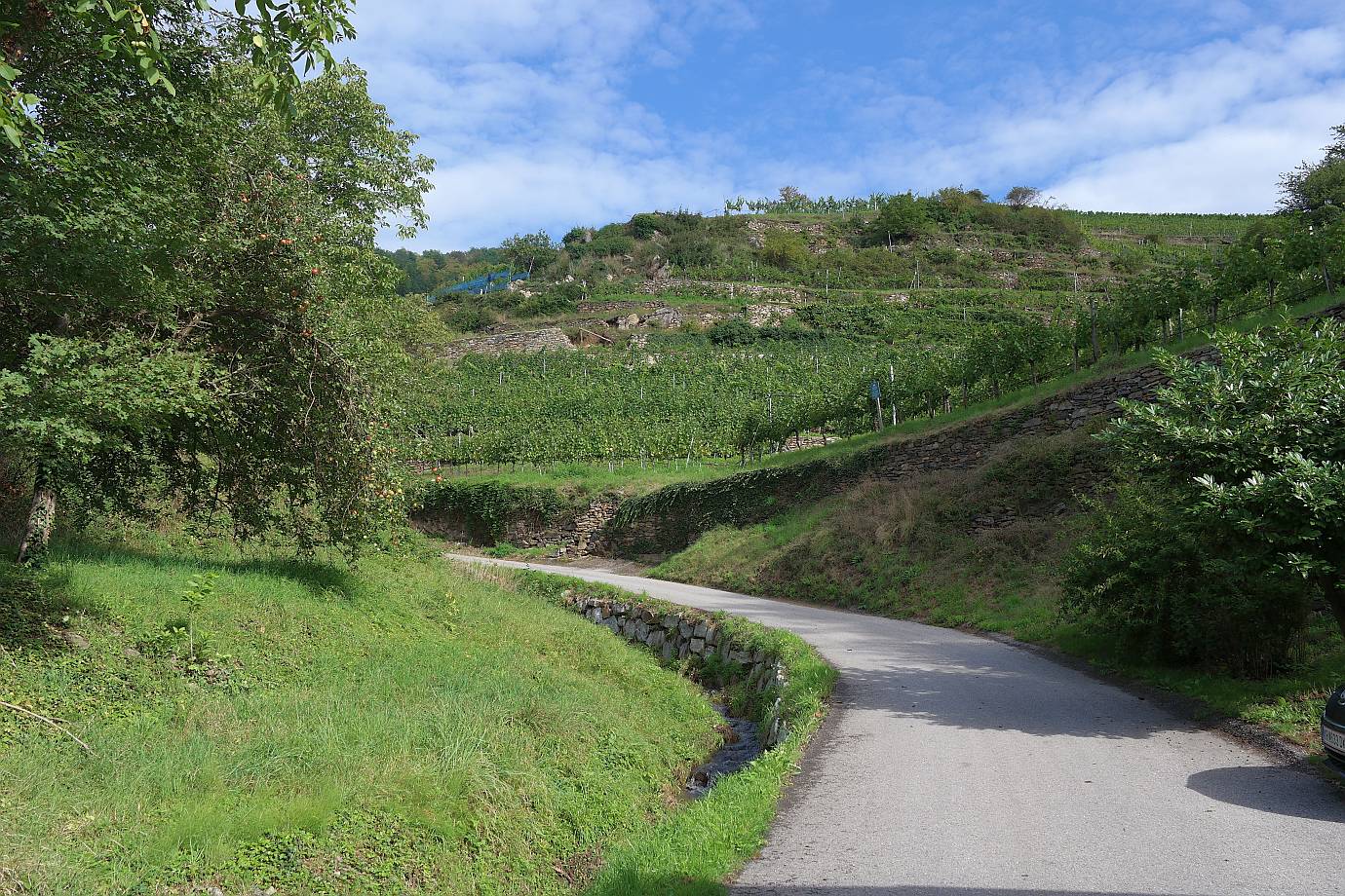 Weinwanderweg Spitz | Wachau