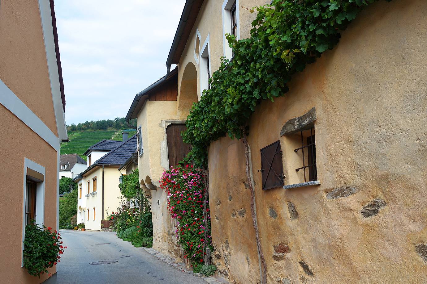 Weinwanderweg Spitz | Wachau