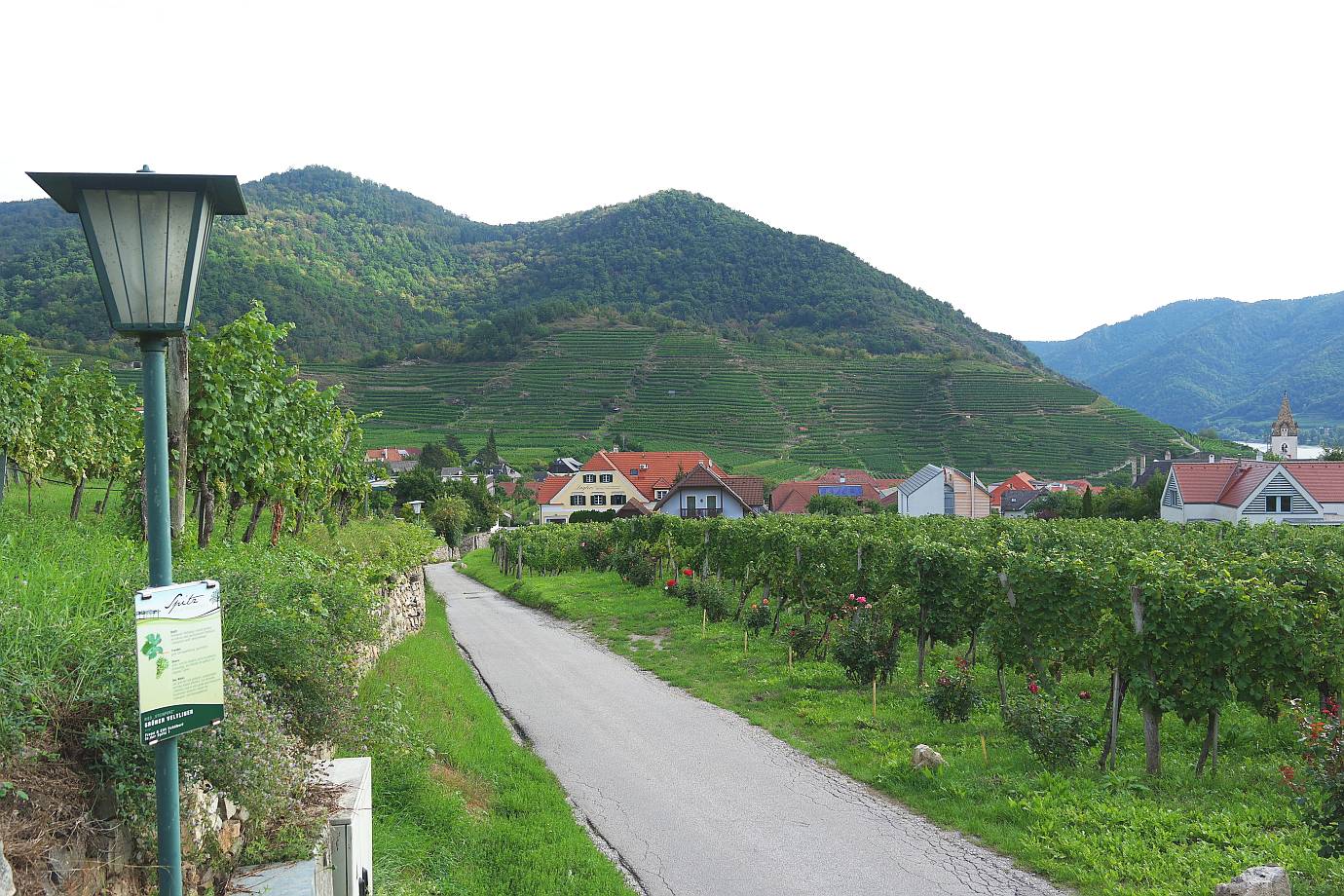 Weinwanderweg Spitz | Wachau