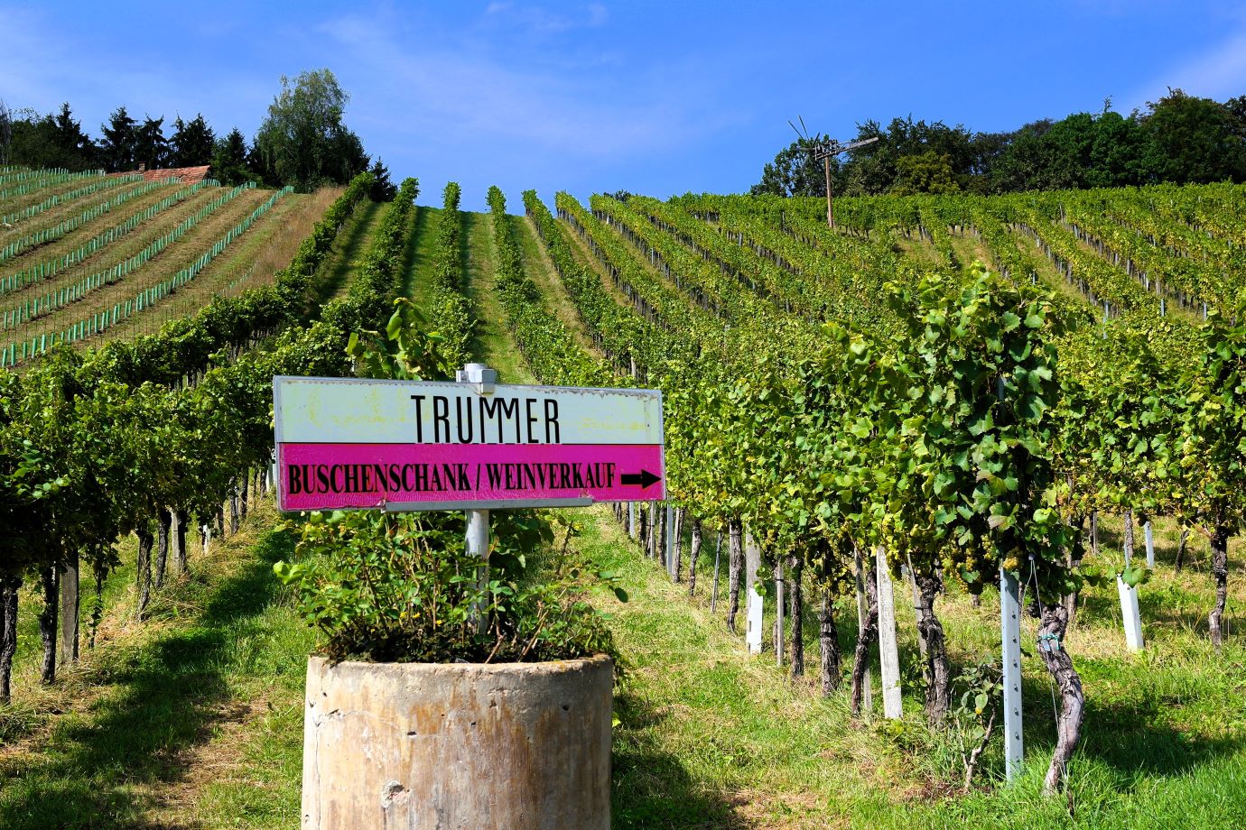 Weingut & Buschenschank Trummer