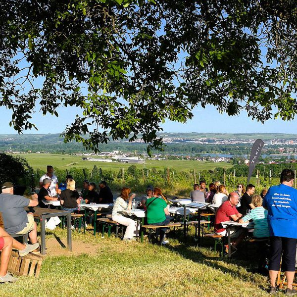 Wandererlebnis Flötenweg | Rheingau