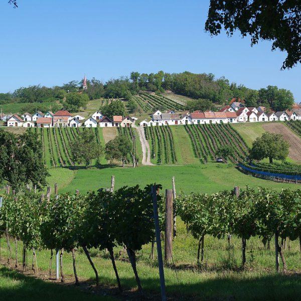 Kellergasse Galgenberg