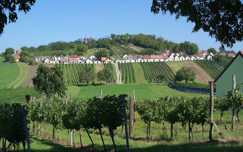 Kellergasse Galgenberg